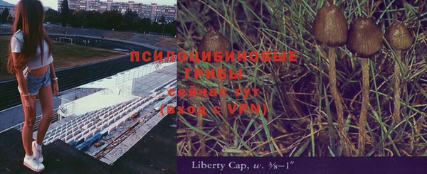 mix Богородицк