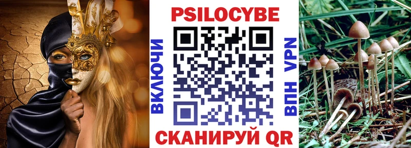 купить   Владикавказ  Галлюциногенные грибы Magic Shrooms 